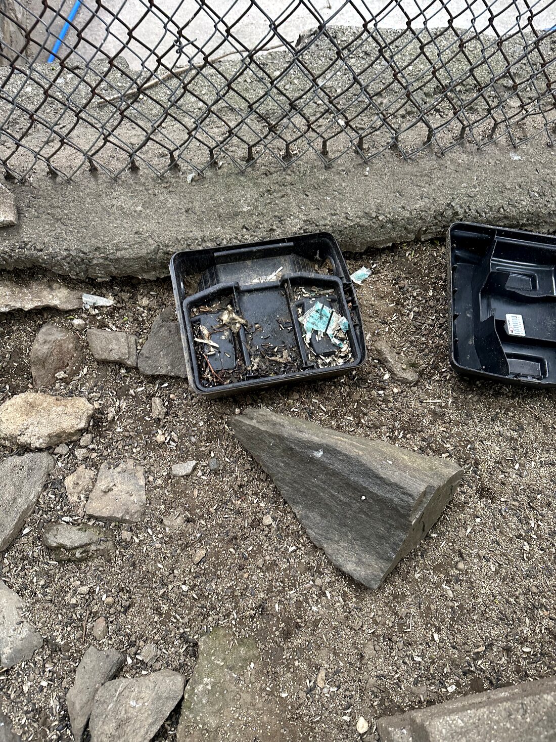 Exterior rodent bait station serviced by Rooftop Exterminating