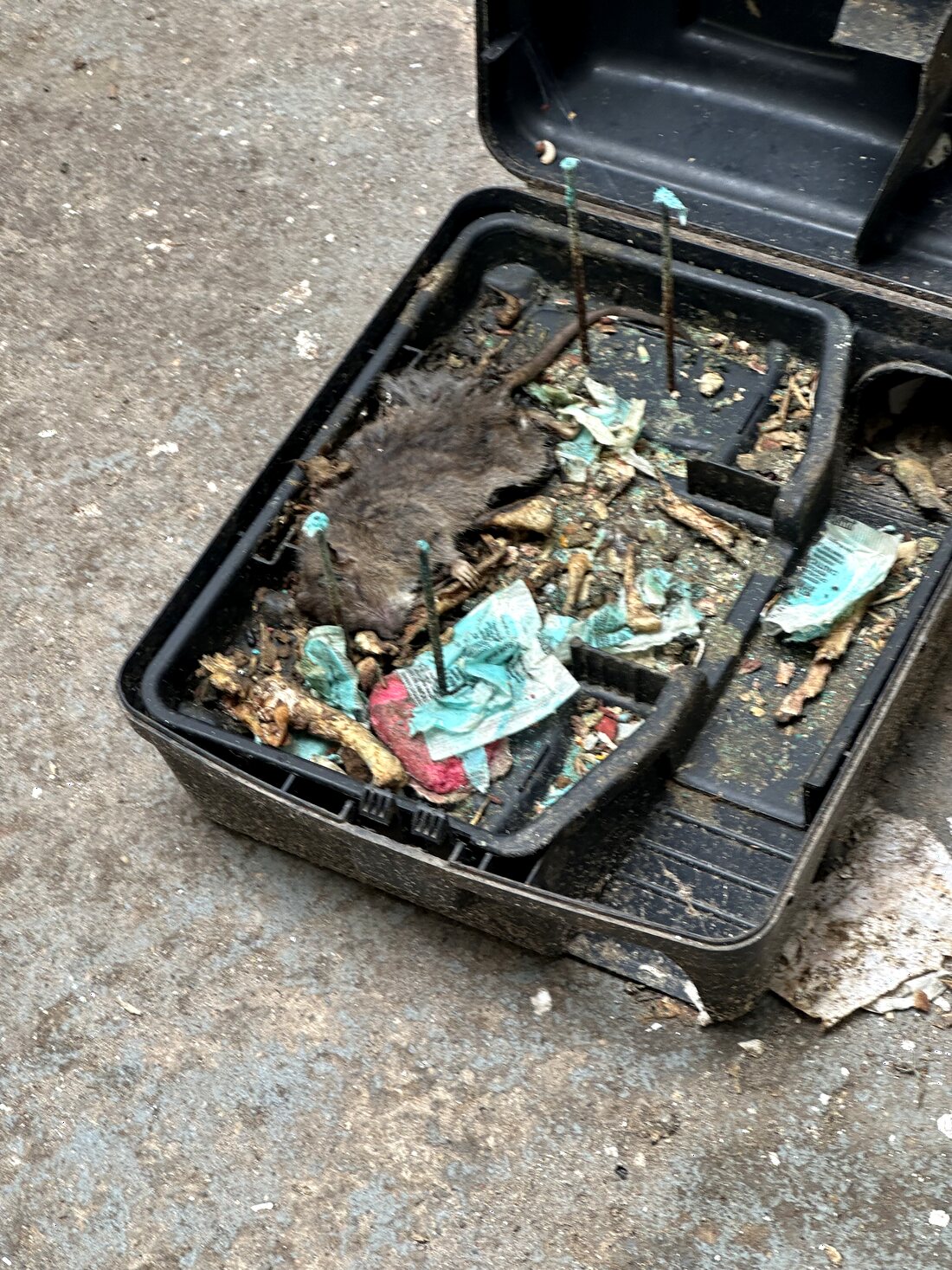 Tamper-resistant rodent bait station
