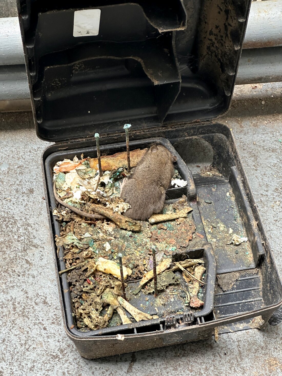 Rodent station inspection by Rooftop Exterminating