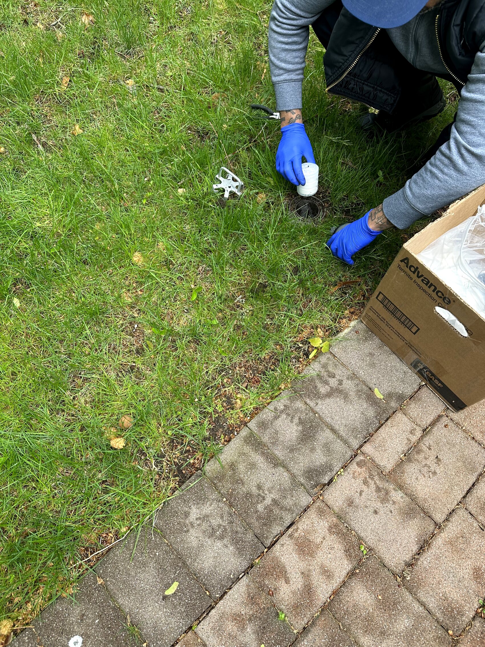 Rooftop Exterminating crew applying granular ant bait around an outdoor perimeter